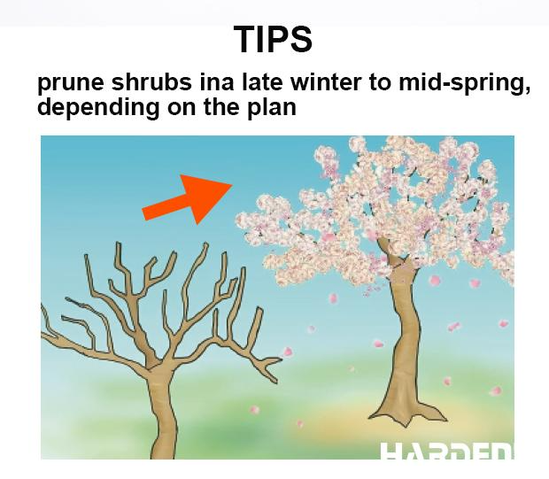 8'' Garden Pruner